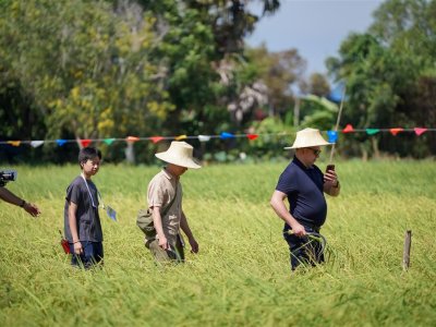 SS Rice News Convention 2025, Pattaya - Thailand